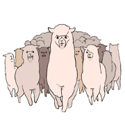 innocent alpaca.