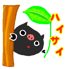 Okinawan Pig