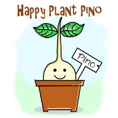 Happy Plant Pino