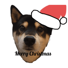 smile_20191222192934