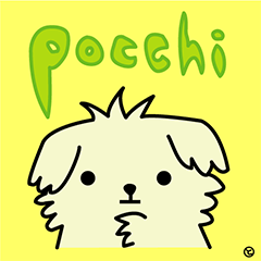 Pocchi