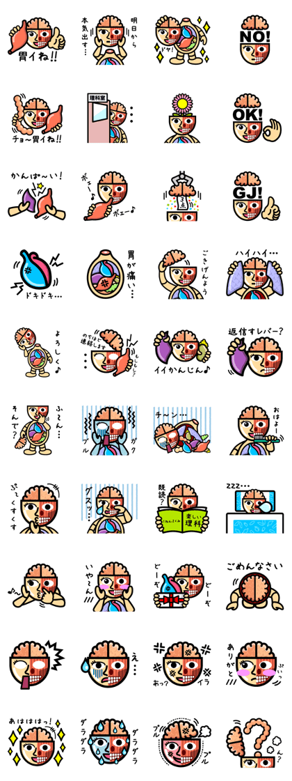 Anatomical Model Mamoru