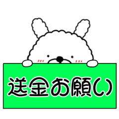 Usable every day Mofumofu Rabbit2