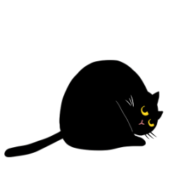 Tsundere black cat