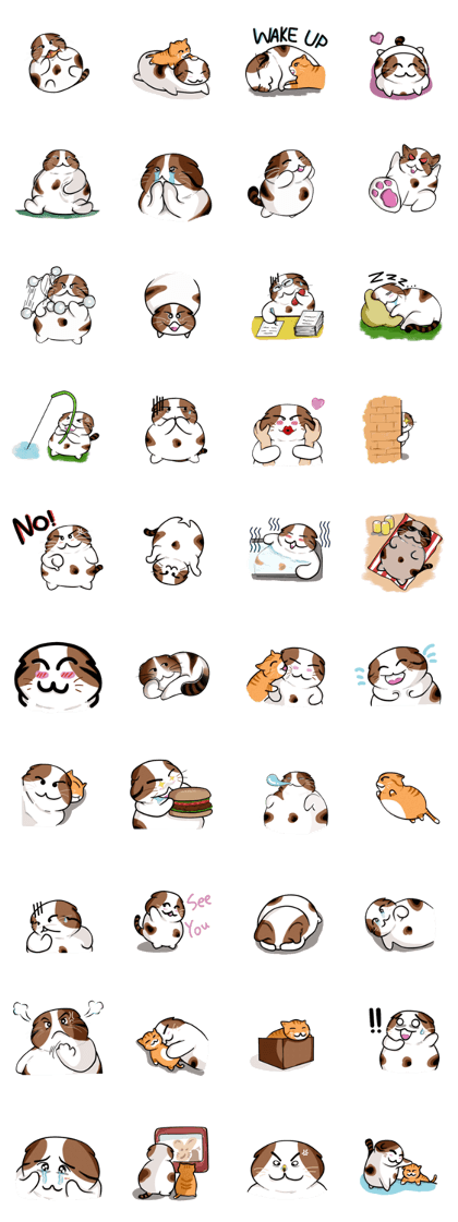 PoJam the Fat Cat & Little Orenji!! PoJam the Fat Cat & Little Orenji!!