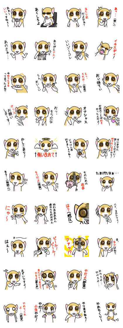 Slow Loris Sticker