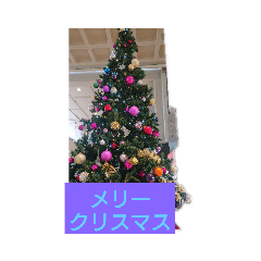moko_20191223033923