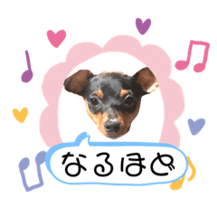 RAMU_20191222234220