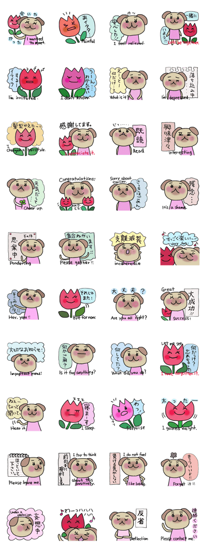 Pochico and Tulip Pochico and Tulip