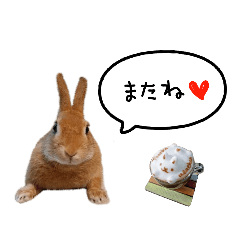 うちの子シリーズ『うさぎのラテちゃん』