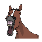 LIFE with lovely horses LIFE with lovely horses