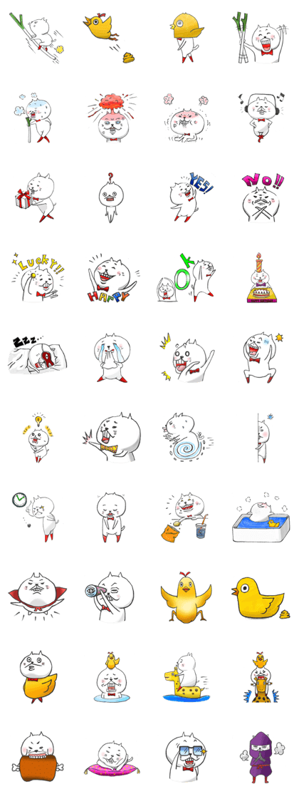 mystery chick and white cat.