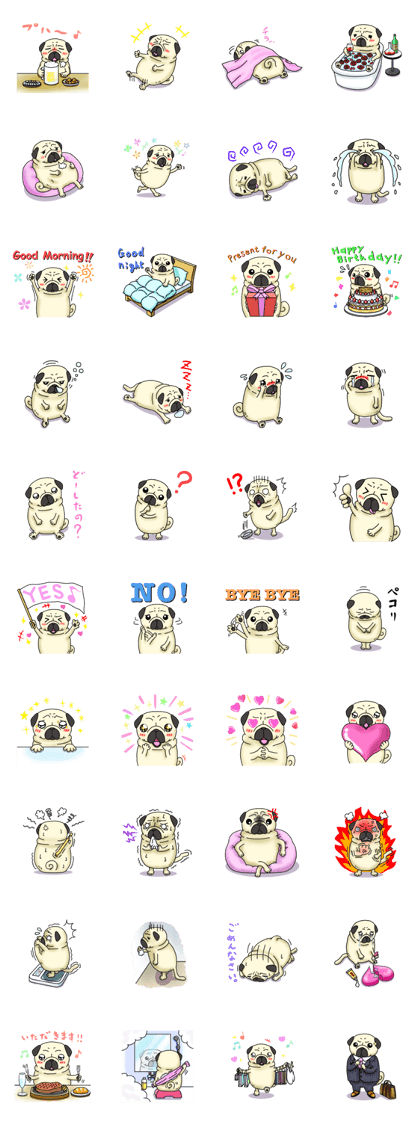 Cheerful pug dog  Daily conversation