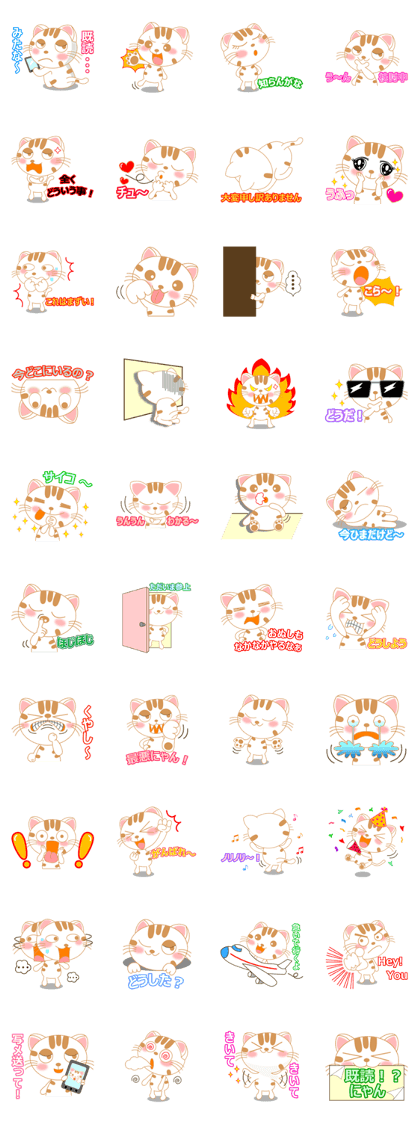 The Everyday Life of a Funny Cat Part 2