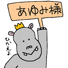 Hippopotamus for Ayumi