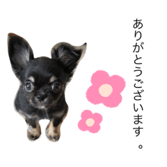 WASABI_20191223092231