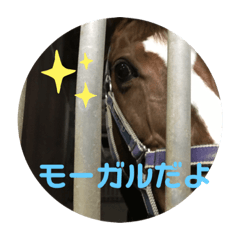 HaruPon_20191223130337