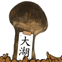 松茸研究家大湖さんのマツタケ