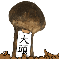松茸研究家大頭さんのマツタケ