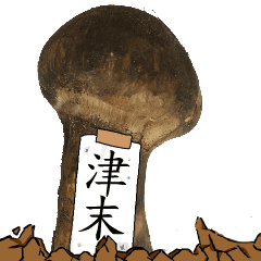 松茸研究家津末さんのマツタケ