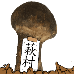 松茸研究家萩村さんのマツタケ