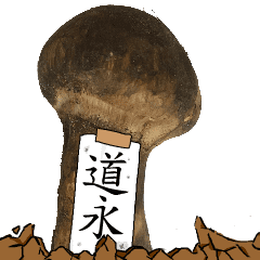 松茸研究家道永さんのマツタケ