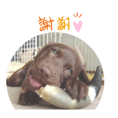 wasabi_20191223150605