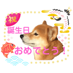Ken_20191223161309