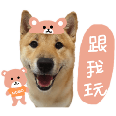 帥哥李MoMo 專屬貼圖