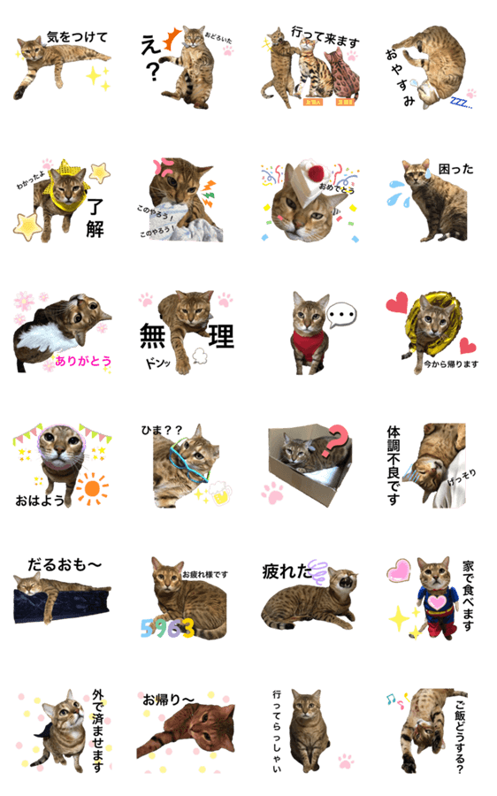 ベンガル猫のアトラス Lineクリエイターズスタンプ Stamplist