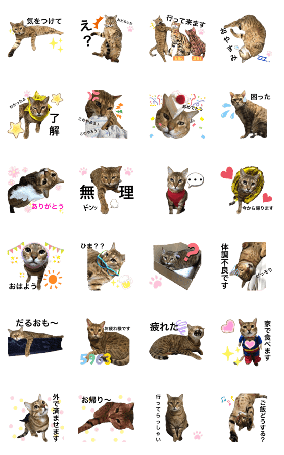 ベンガル猫のアトラス Lineクリエイターズスタンプ Stamplist ベンガル猫のアトラス Lineクリエイターズスタンプ Stamplist