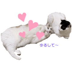 minorin_20191223211321