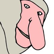 Proboscis monkey