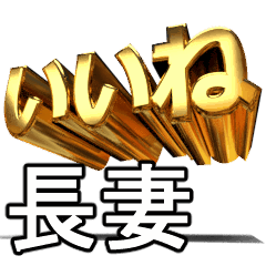 動く!金文字【長妻,ながつま】