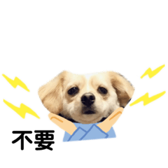 勾錐寶