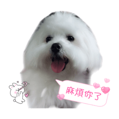 瑪爾濟斯～樂樂2