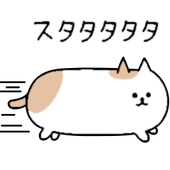 Short body cat NAGABUCHI
