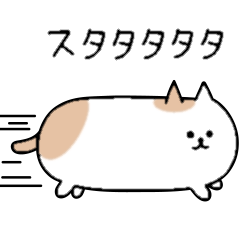 Short body cat NAGABUCHI