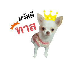 kwankhao_20191223160146