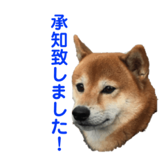 Ken_20191223194043
