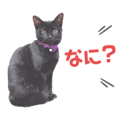 AOI_2019122321500