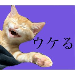 chie_20191223223407