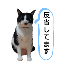 satoshi_20191223224
