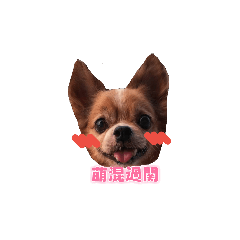 黑皮的快樂日常