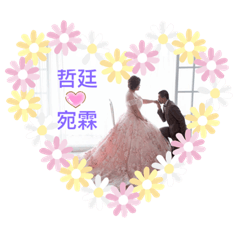 哲廷愛宛霖