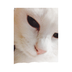 YutakaNitta_20191224081125