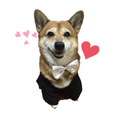 hikari_20191224044942