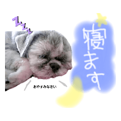 AYANO_20191224115837