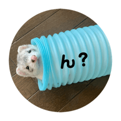 Asuka_20191224145827