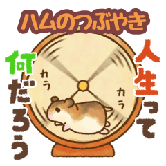 Boyaki of hamster